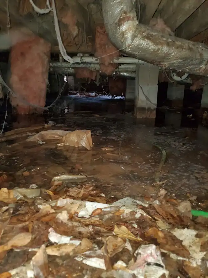 Crawl space flood assessment for Commercial Water Damage Restoration in Wilmington